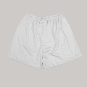 Pleated Shorts (Beige)