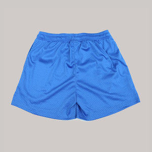 Basic Shorts (Blue)