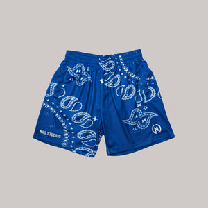 Paisley Shorts (Blue)